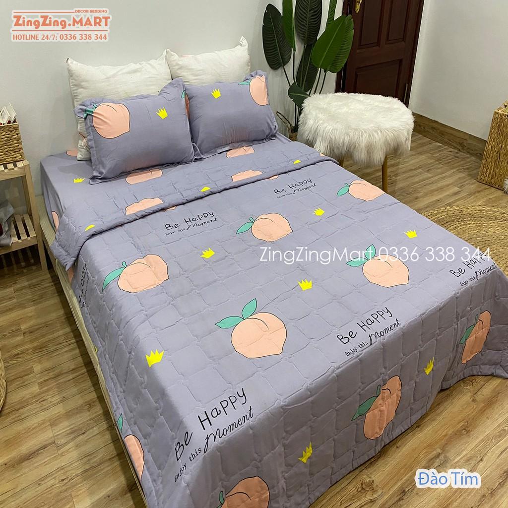 Bộ 5 Món Chăn Hè Ga Gối Kèm Vỏ Gối Ôm Poly kích thước M2/M6/M8/2M2 Mẫu Bò Xám