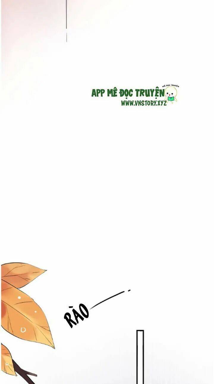 trạch thượng tịch mịch huỳnh hỏa chapter 41 25