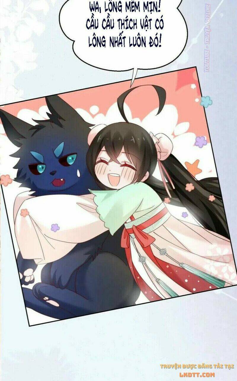 hắc hóa nam chính trực tuyến nuôi thỏ chapter 53 34
