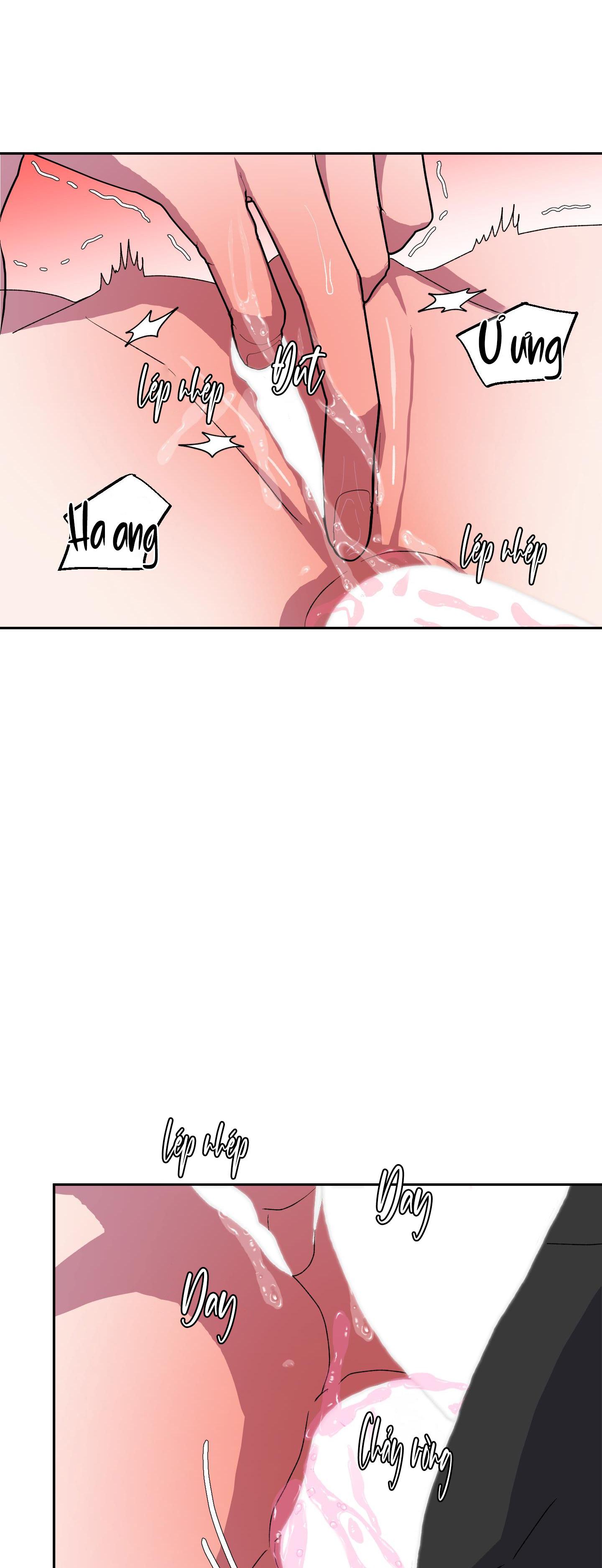 cá mập và cô dâu thỏ chapter 12 4