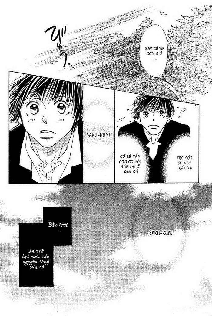 tiếng gọi tình yêu từ giữa lòng thế giới chapter 5 19