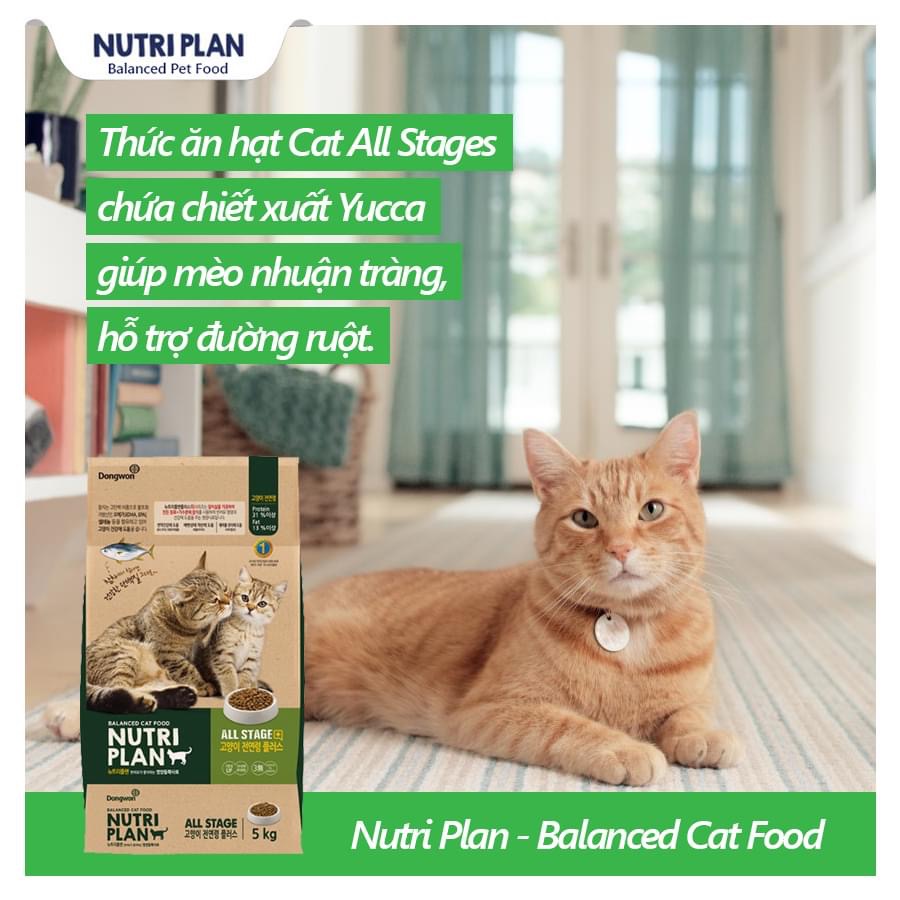 Thức ăn hạt cho mèo mọi lứa tuổi Nutri Plan Cat All Stage Plus 5Kg