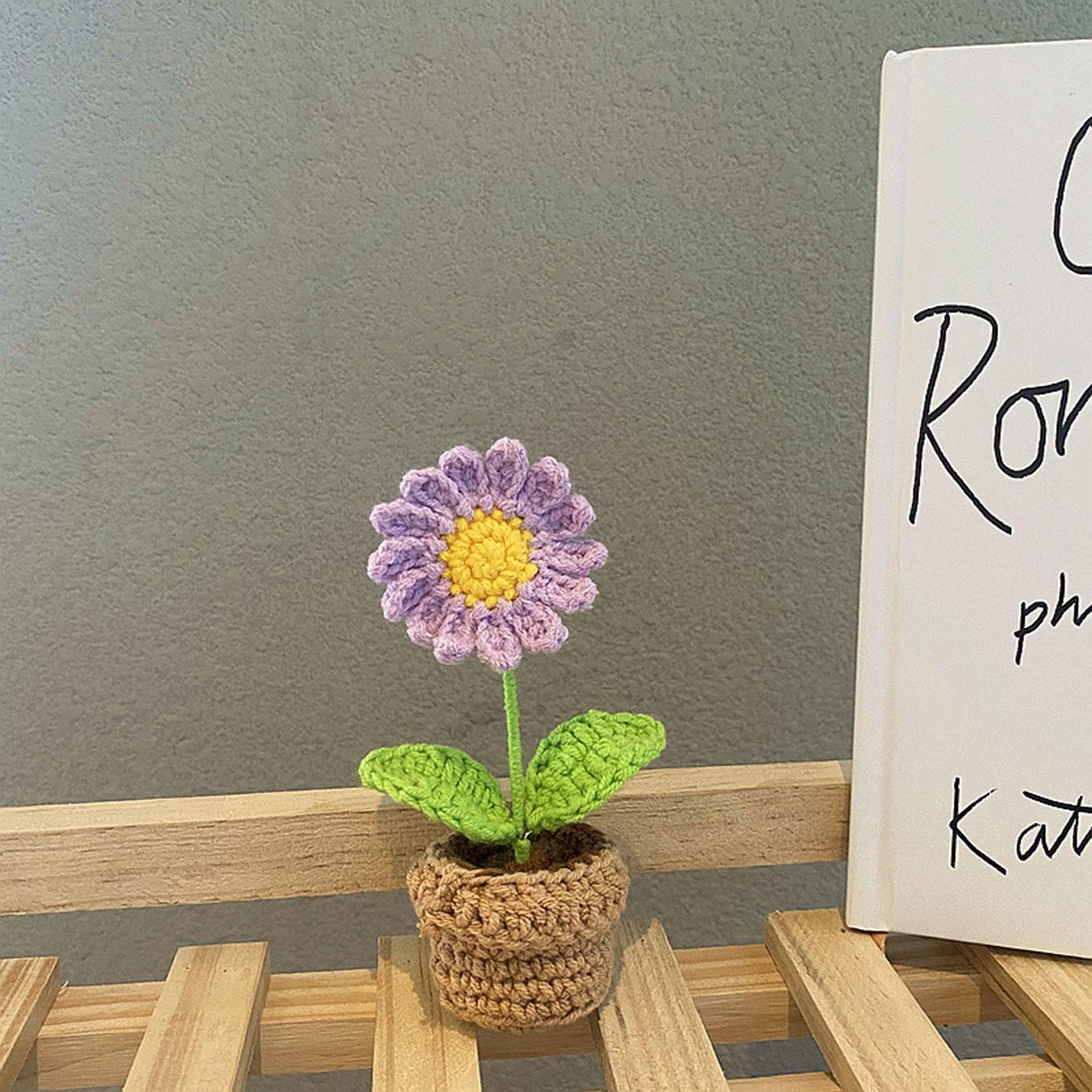 Handmade DIY Beginner Crochet Kit for Adults Kids Includes Yarn