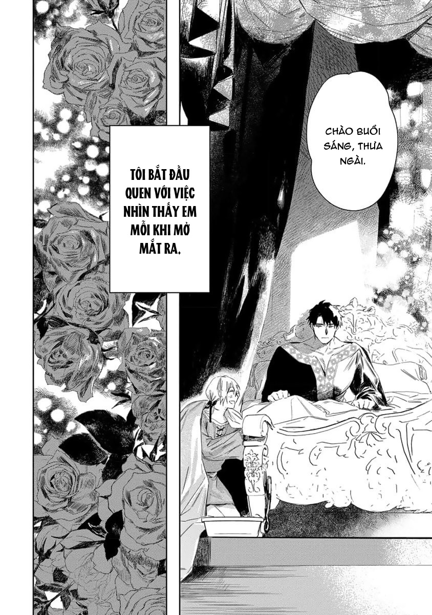 tình yêu hoa hồng dại chapter 2 36