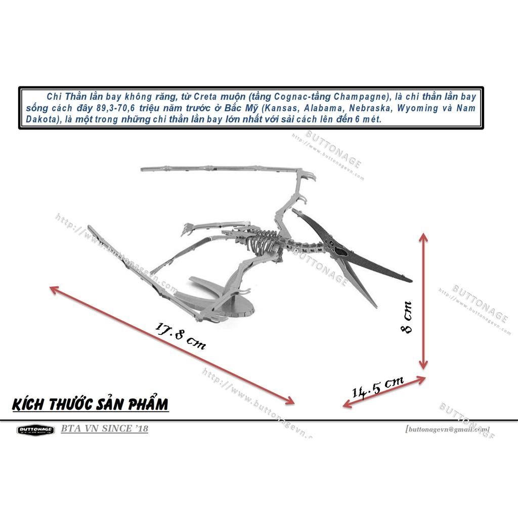 Mô Hình Lắp Ráp 3d Hóa Thạch Thằn Lằn Bay Pteranodon