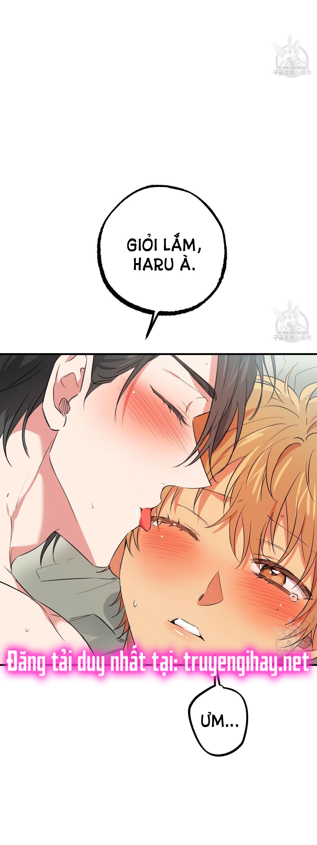 những chú thỏ của hapypy chapter 54.2 18