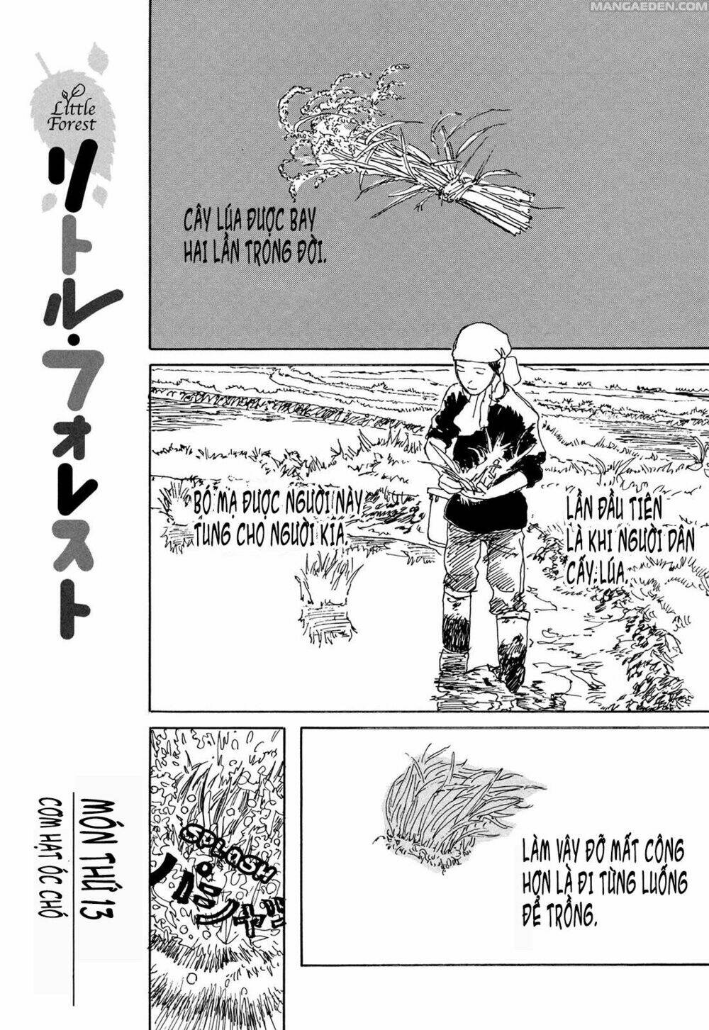 little forest chapter 13 1