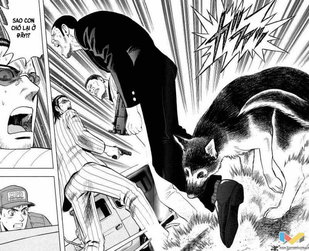 animal sense chapter 12 27