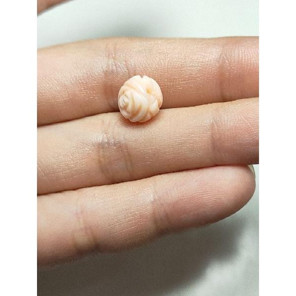 410- L Cham San Hô Không Nhuộm