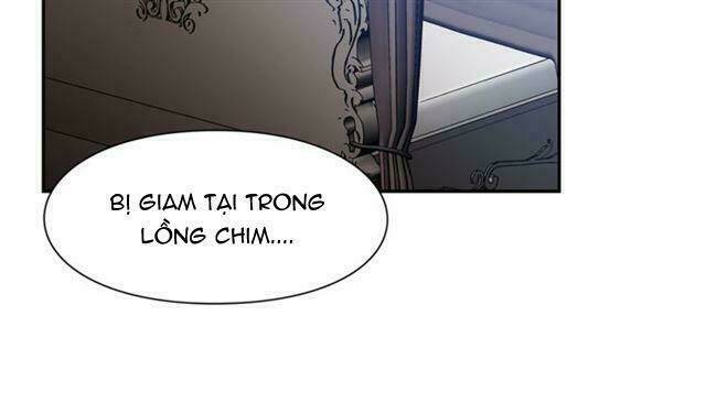 nữ hoàng ngoại khoa chapter 37 100
