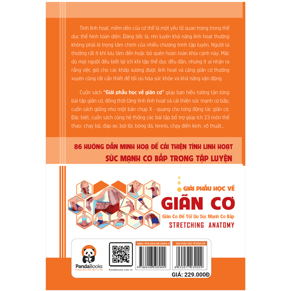 Giải Phẫu Học Về Giãn Cơ -  Giãn Cơ Để Tối Ưu Sức Mạnh Cơ Bắp