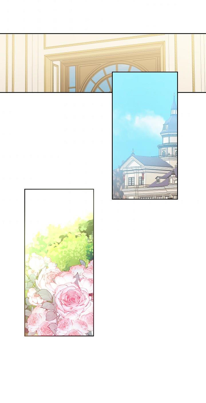 người chồng hợp đồng của tôi chapter 9 62