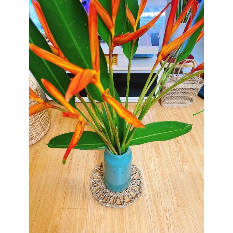 -Set cói treo tường Vintage trang trí tường