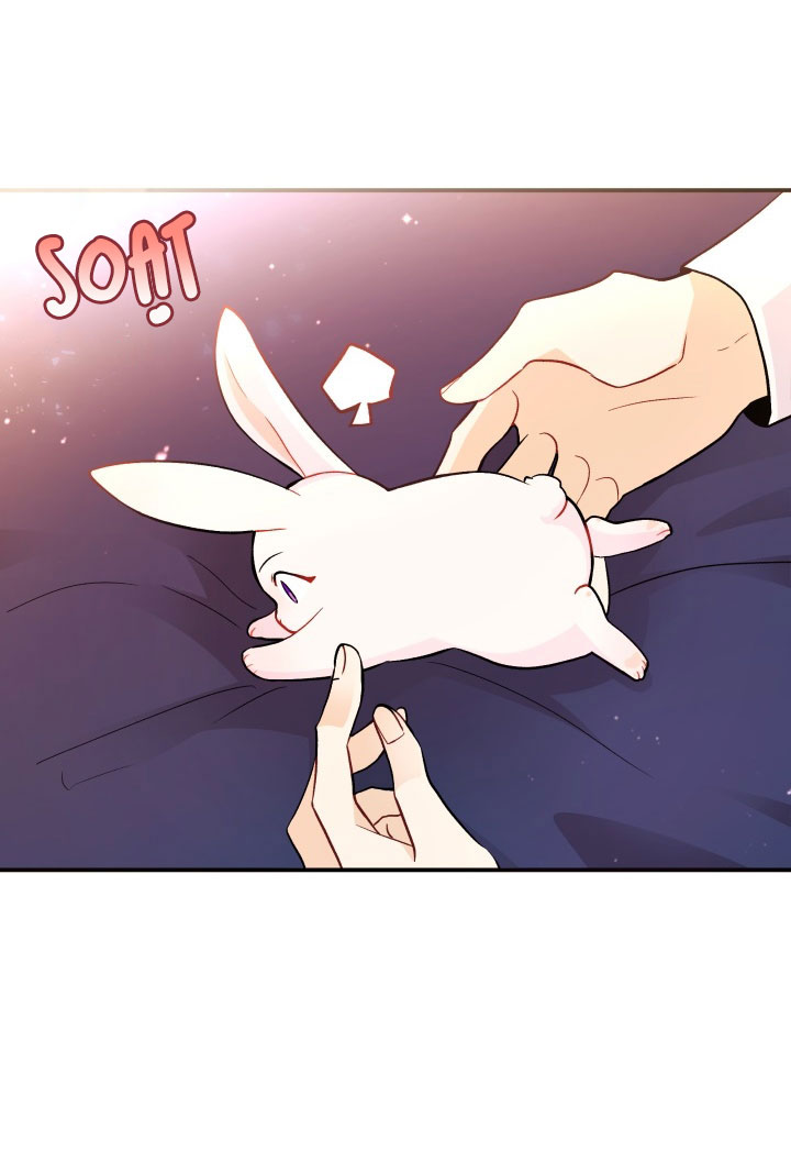 mối liên kết giữa báo đen và bé thỏ chapter 2 66