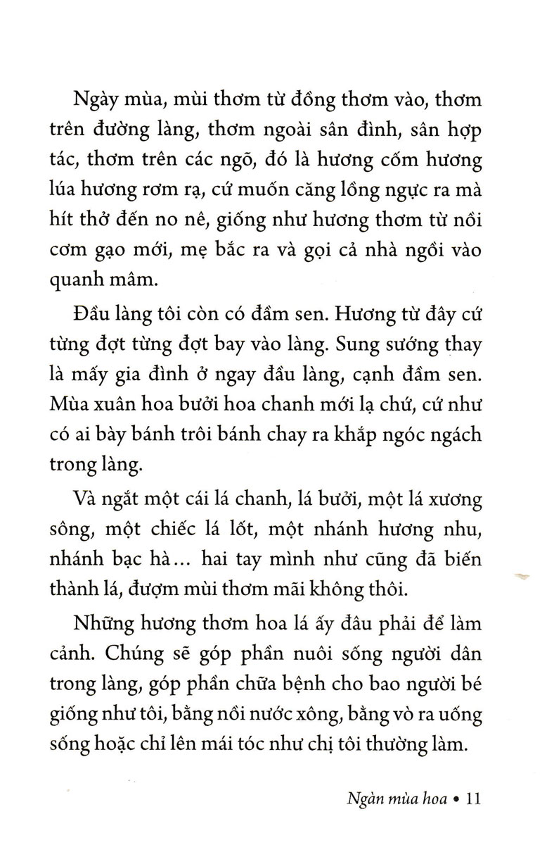 Ngàn Mùa Hoa - Nét Đẹp Quê Hương (PNU)