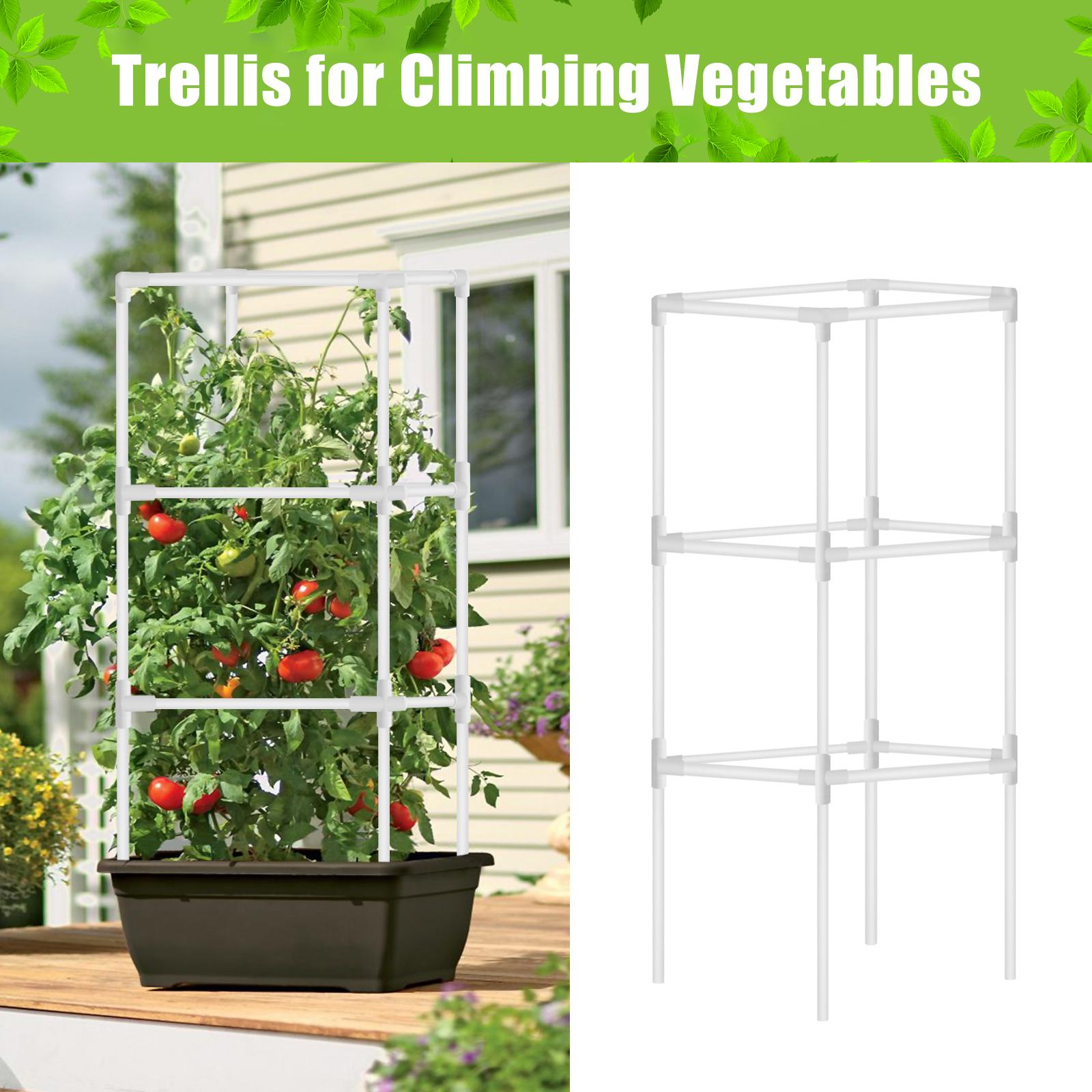 Kệ trồng cà chua 16 inch hỗ trợ dây leo ra hoa quả nhỏ