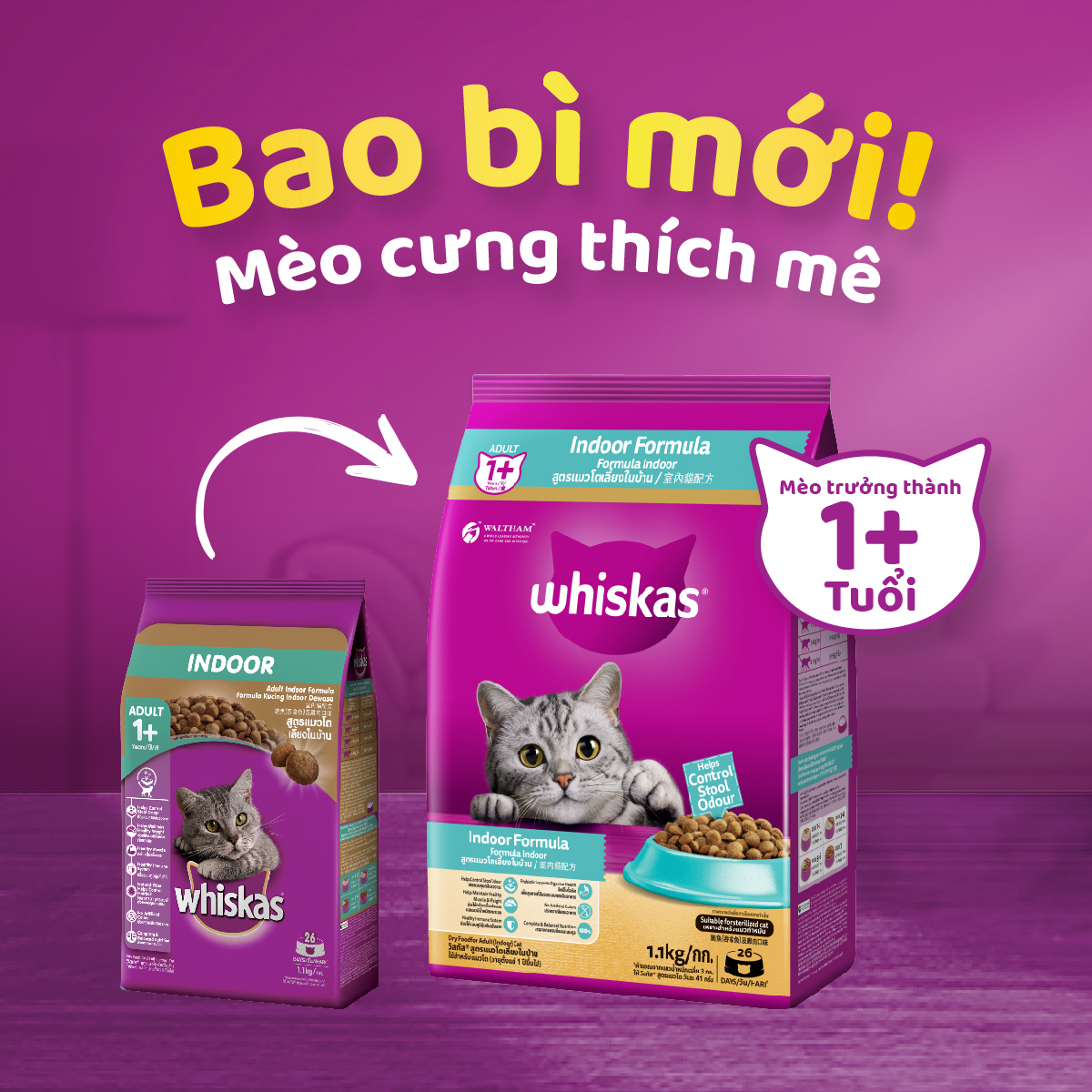WHISKAS Indoor Formula Dry Cat Food for Adult Cats, 1.1 kg