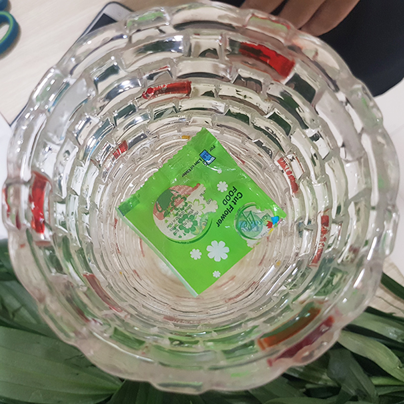 Bột Cắm Hoa Lily Tươi Lâu, Hiệu Longlife nhập khẩu Isarel