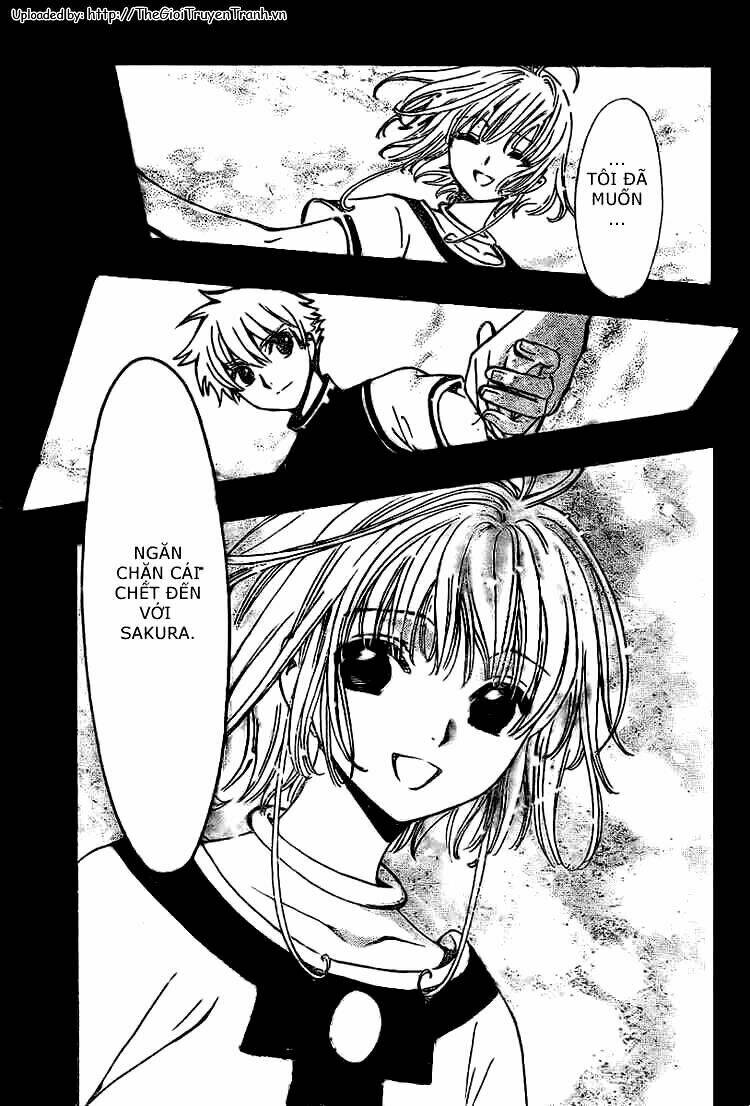 huyền thoại đôi cánh chapter 200 5