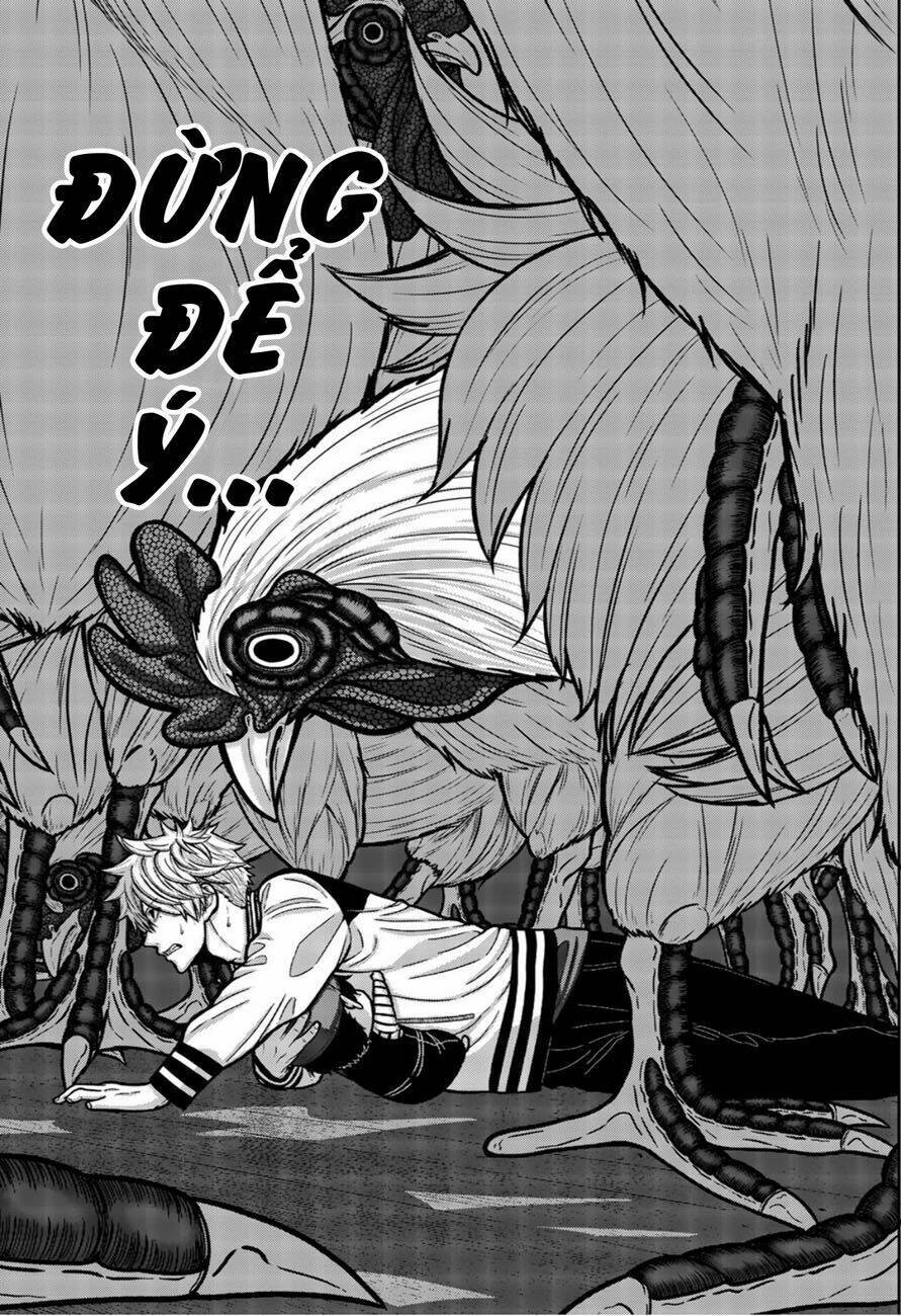 tiếng gáy sát thủ chapter 11 5