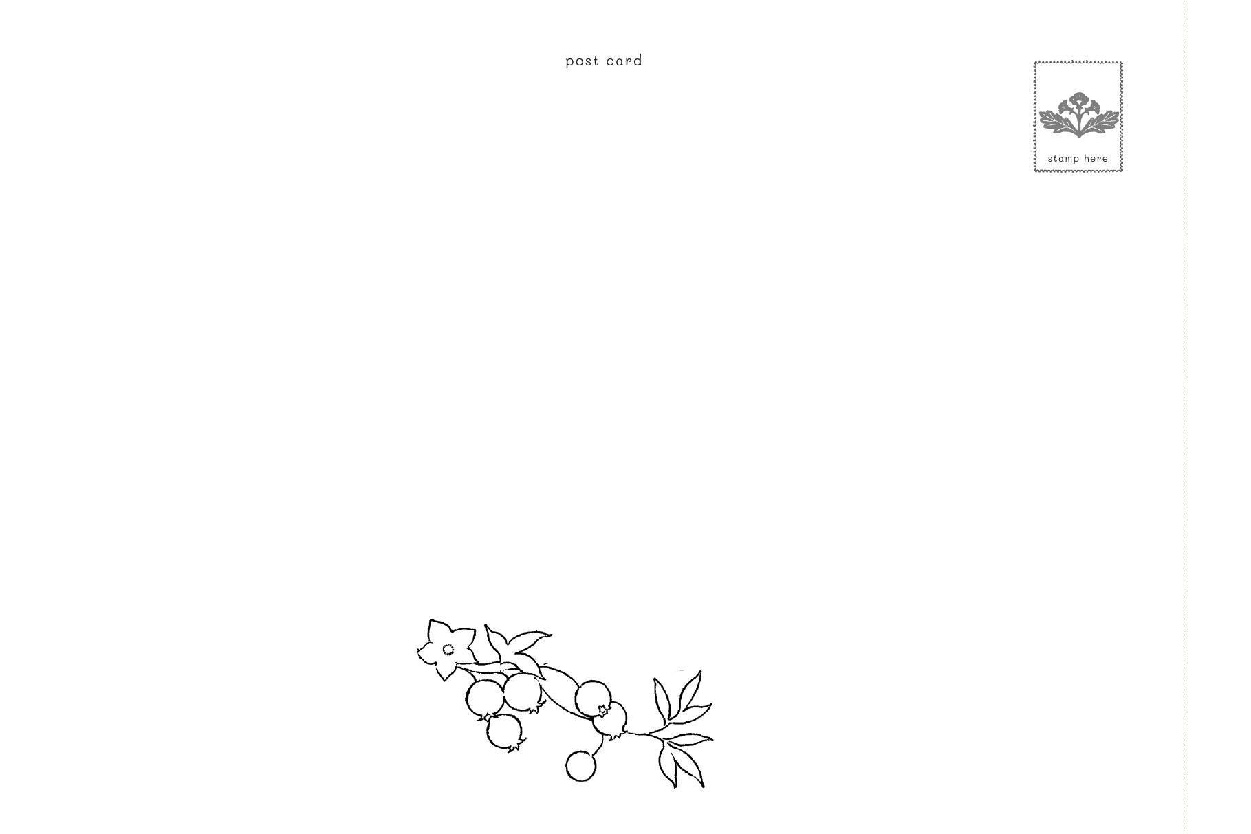 Sách - Sách Cửa Tiệm Trong Mơ - Nơi Trú Ẩn Bình Yên - Tiệm Postcard Trong Khu Rừng Nhỏ