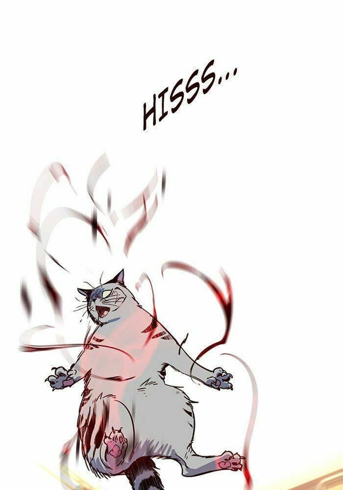 biến thân thành mèo chapter 11 119