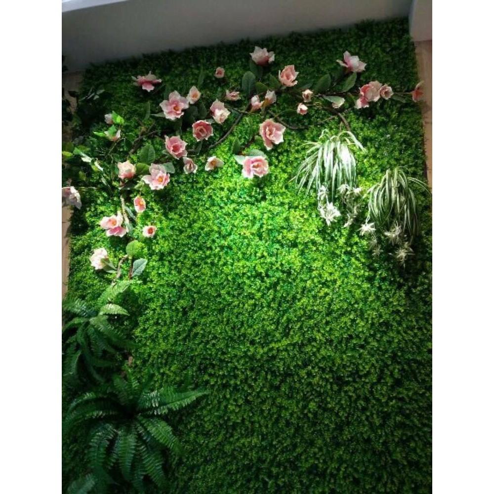 Tóc tiên rủ trang trí
