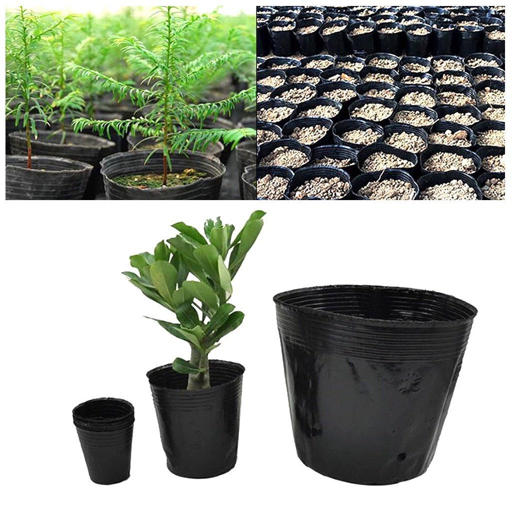 1KG Túi Bầu Ươm Cây, Trồng Cây KT 30x28 Túi Nhựa Dẻo Chống Nóng Tốt và Chống UV