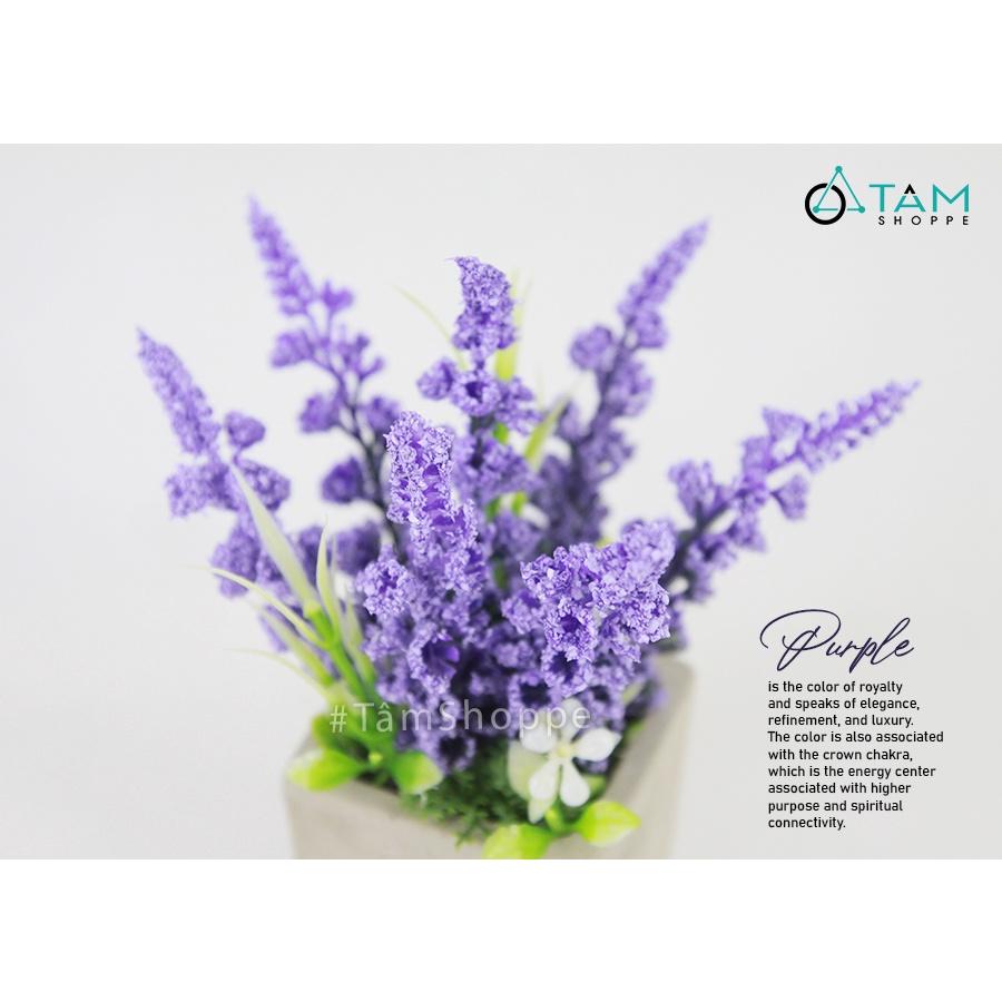 Chậu hoa lavender giả đề bàn hoa xốp chậu xi măng CHDB-105