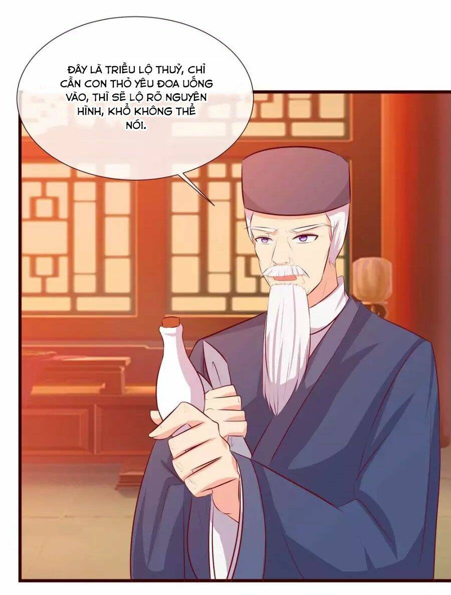 thỏ yêu tiểu vương phi chapter 26 17