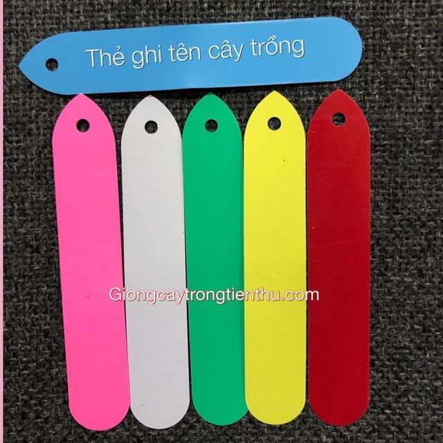 100 THẺ GHI TÊN CÂY TRỒNG,ĐỒ VẬT