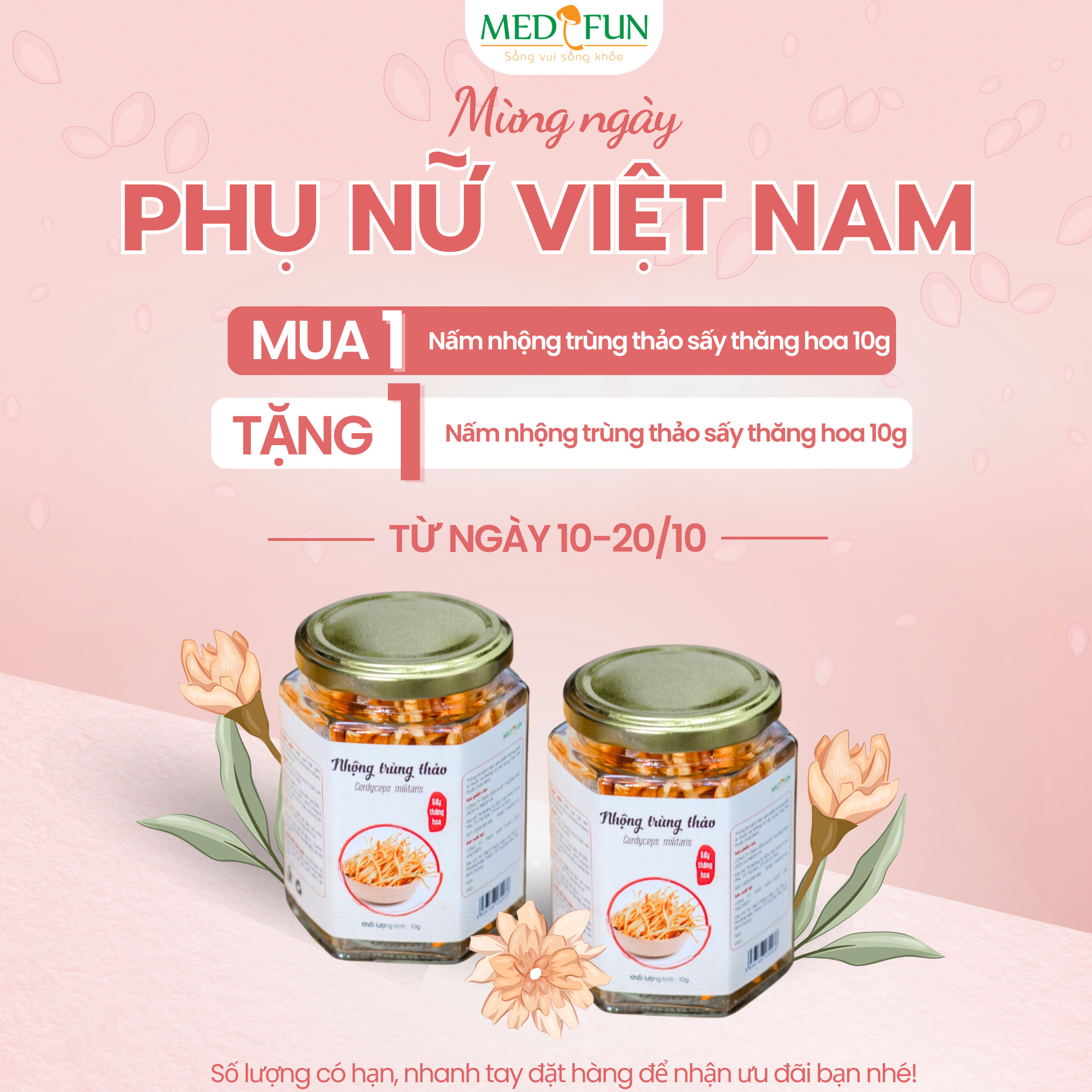 Nấm nhộng trùng thảo Cordyceps militaris loại 1 sấy thăng hoa 10g, dược chất cao, đông trùng hạ thảo, vivingon, medifun