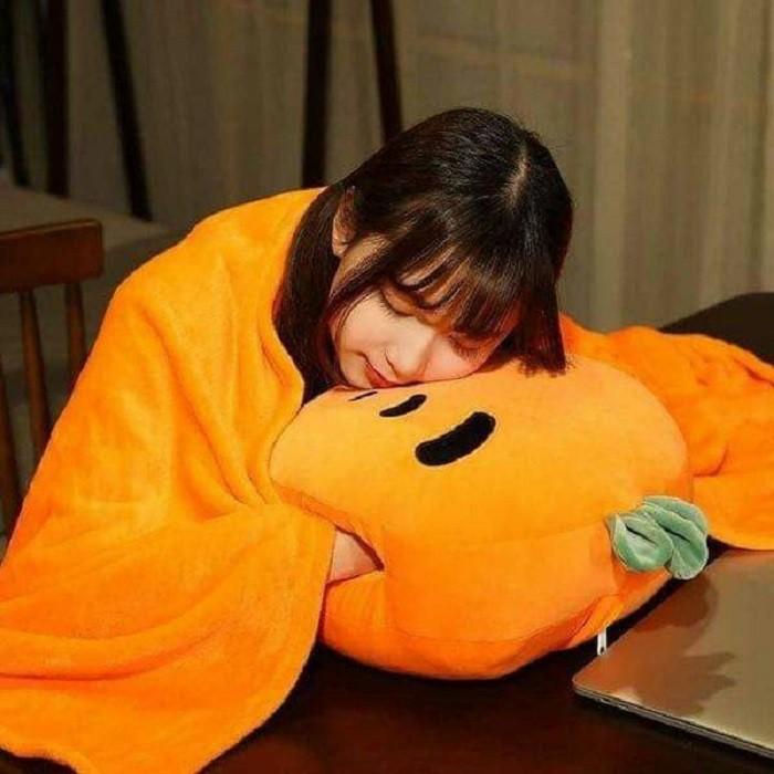 Bộ gối kèm chăn hình hoa quả