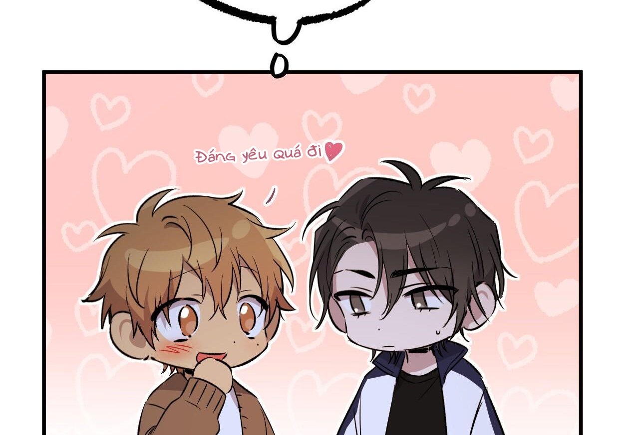 những chú thỏ của hapypy chapter 61 218