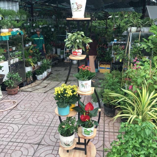 Kệ sắt đựng chậu hoa