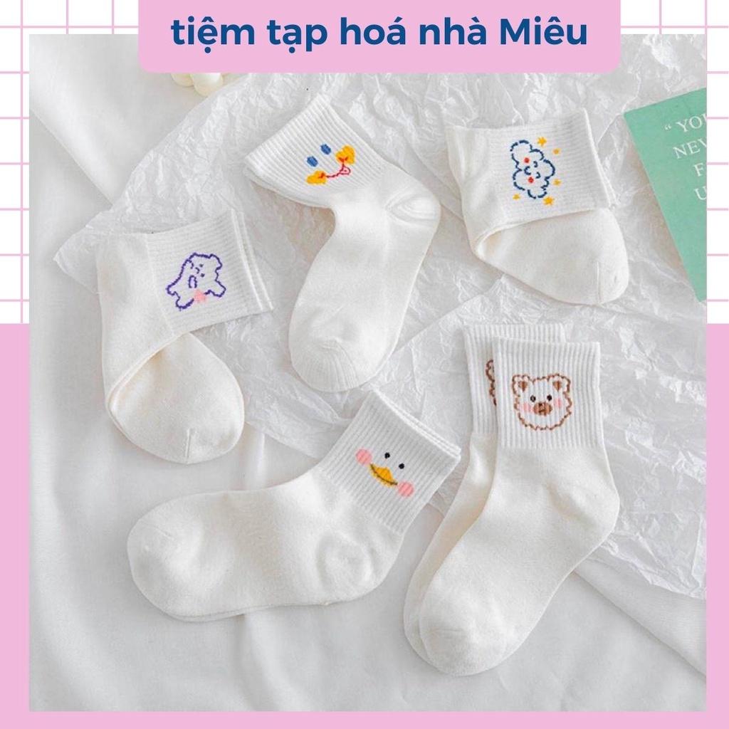 Tất nữ cổ ngắn chất liệu cotton co giãn bốn chiều, set vớ dễ thương - tiệm tạp hoá nhà Miêu