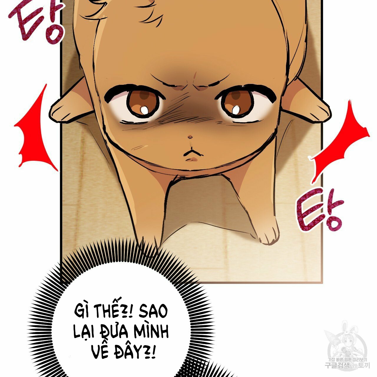 những chú thỏ của hapypy chapter 45 25