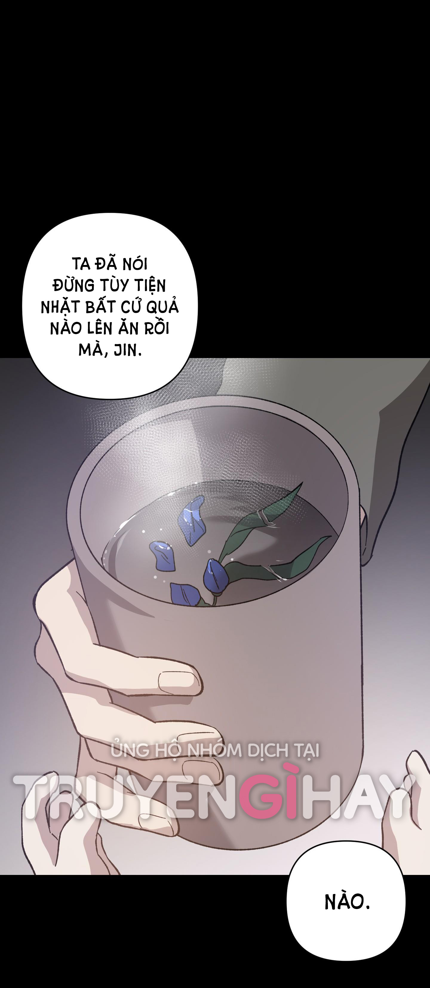 đóa hoa của mặt trời chapter 19.2 11