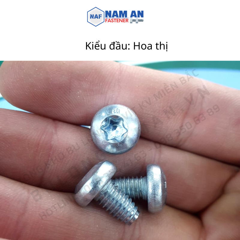 200 con Vít tự tạo ren M4, M5, M6 bake đầu cầu mạ kẽm trắng xanh và Vít tự ren đầu hoa thị M6x10, M6x16