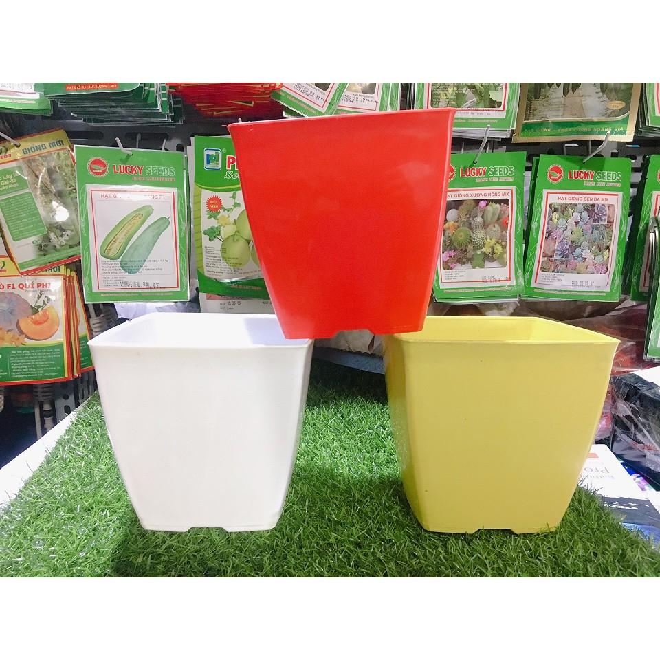 CHẬU NHỰA TRỒNG CÂY VUÔNG 16X15CM - SET 5 CÁI