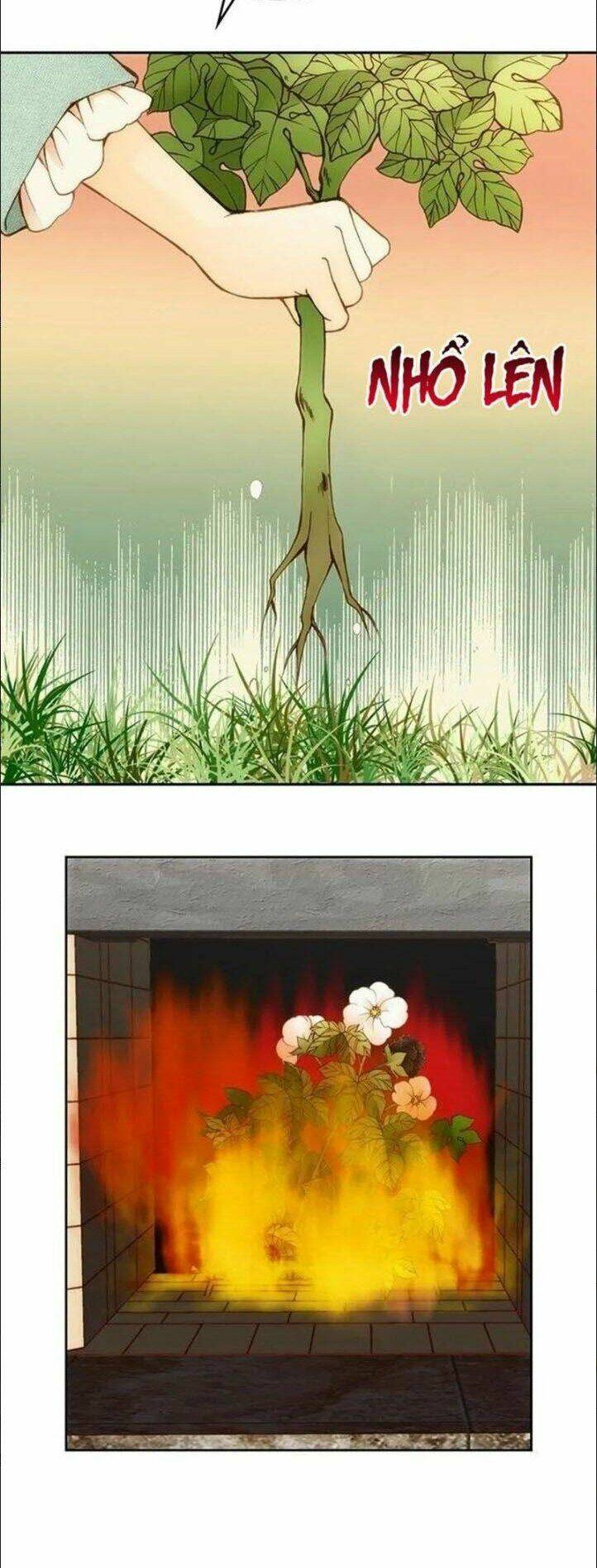 wendy , cô gái bán hoa chapter 7 30