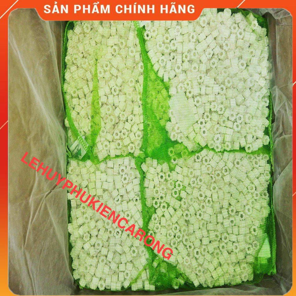 Sứ Lọc MOUNTAIN TREE - Mini Ring - Nitro Ring - Maifan Ring 1L