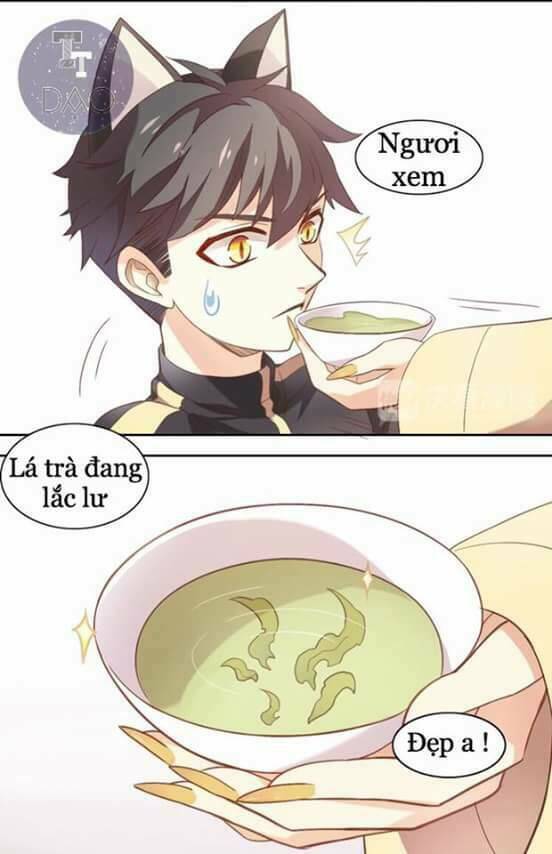 dưới móng vuốt mèo chapter 2 12