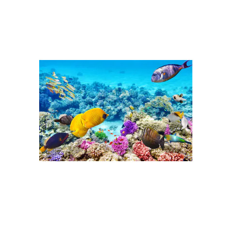 Tranh Dán Tường 3D | Tranh dán tường cửa sổ 3D | T3DMN_T6_132