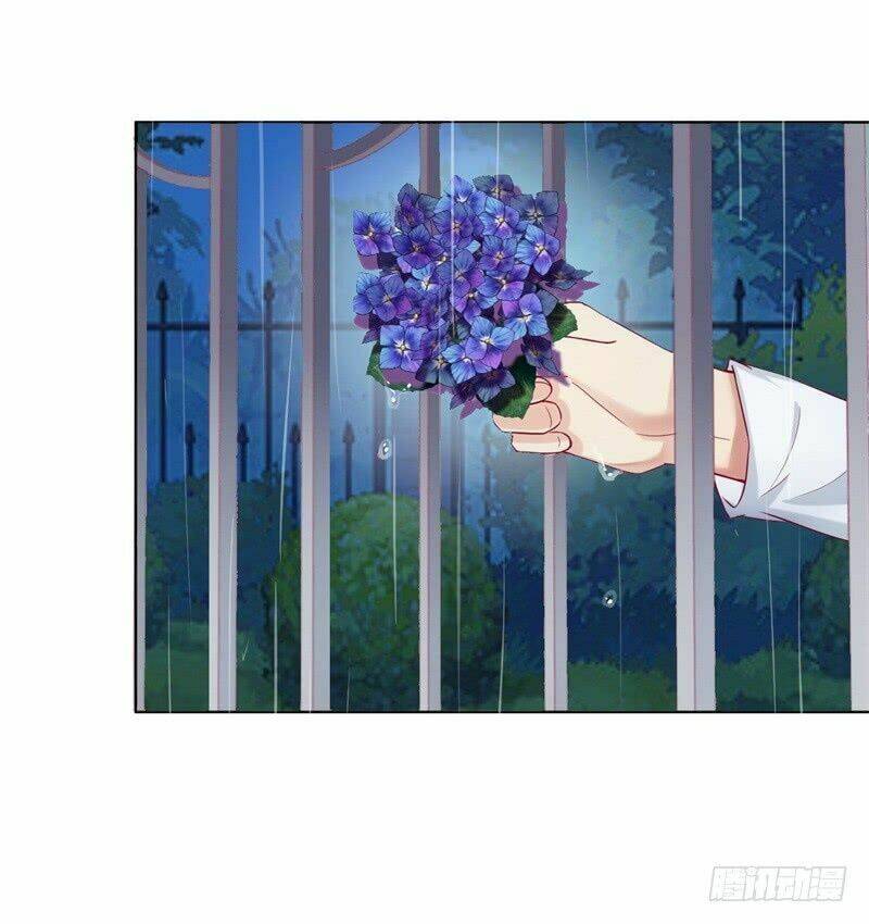 ngạo kiều tổng tài sủng điềm thê chapter 28 23