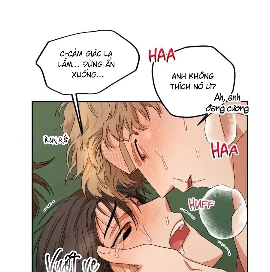 liveta chapter 13 43