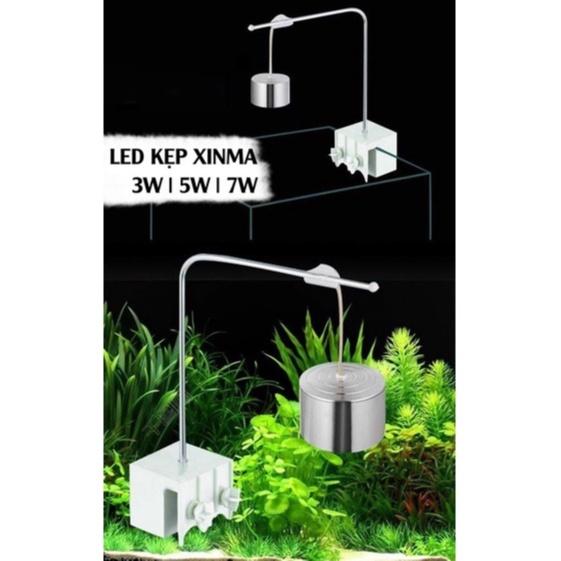 Led Kẹp Xinma - Ánh Sáng Trắng và RGB | Đèn LED Chuyên Dùng Cho Bể Thuỷ Sinh Mini