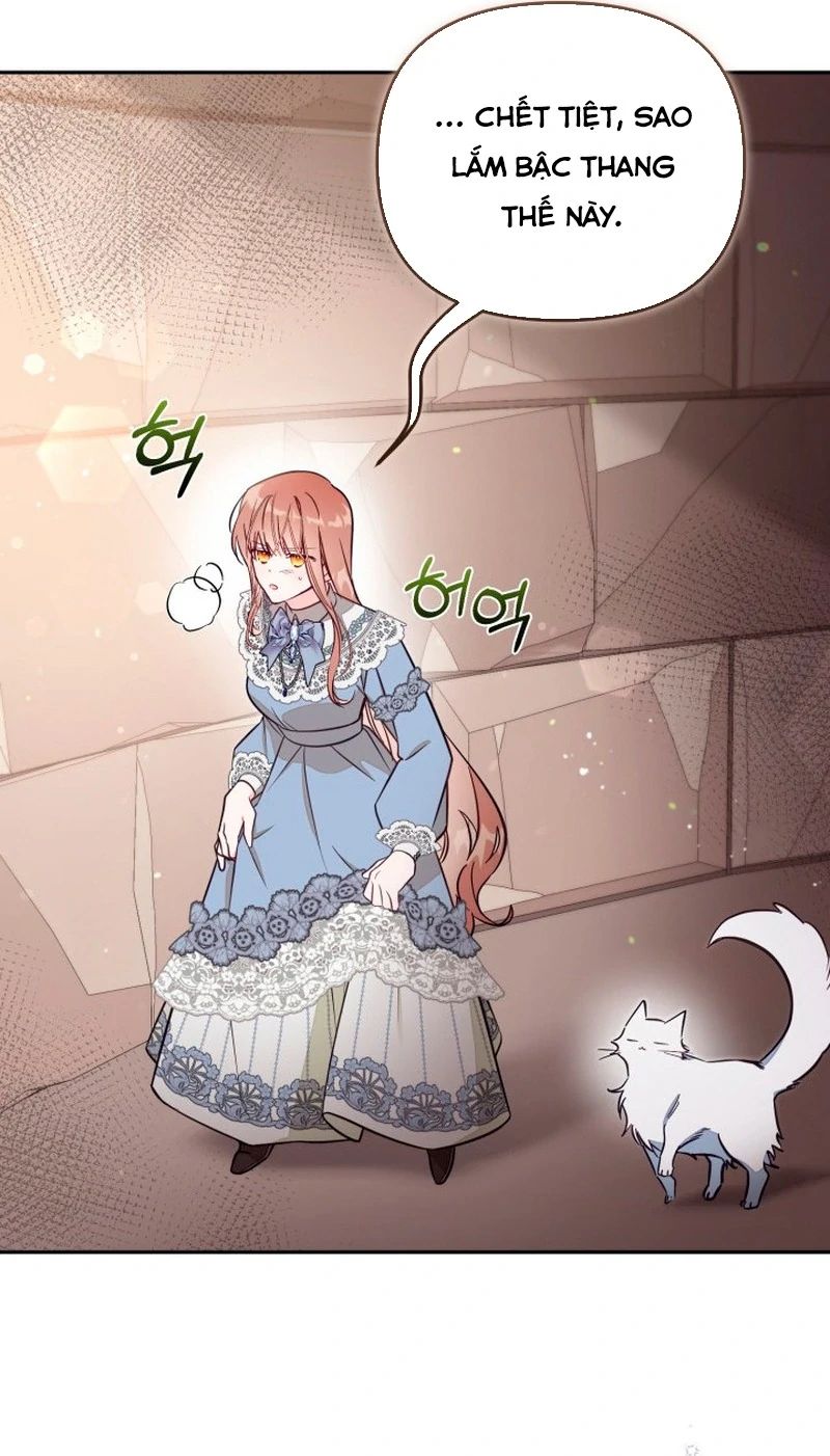 không có chỗ cho kẻ giả mạo chapter 78 3