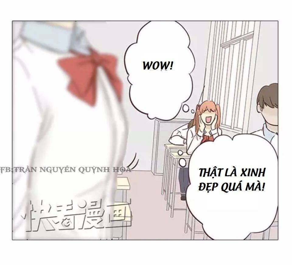 xin chào! dân nữ chapter 8 29