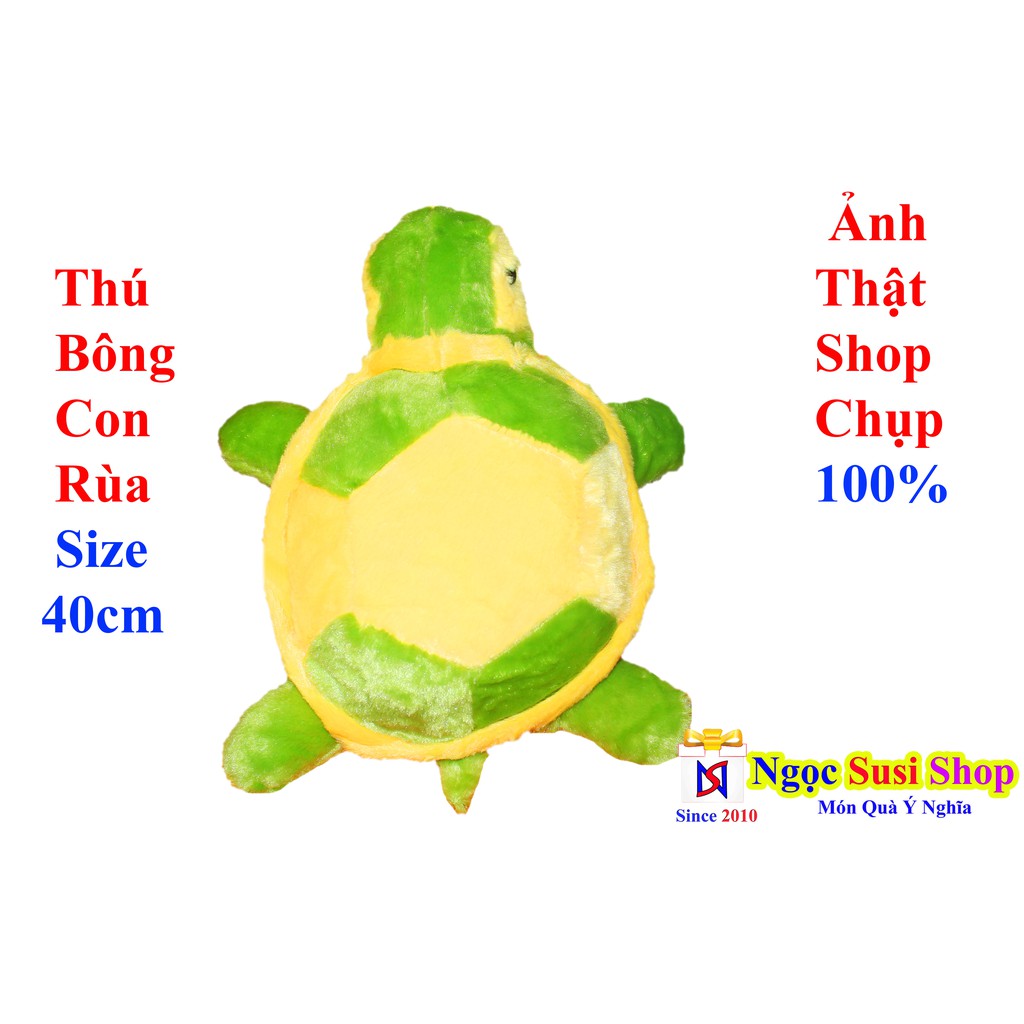 THÚ BÔNG CON RÙA NHỎ DỄ THƯƠNG SIÊU CƯNG